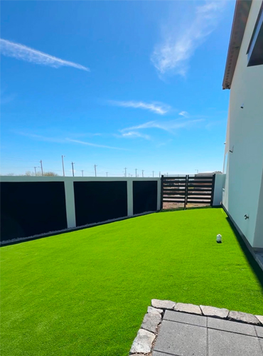 Lone Star TurfWorx